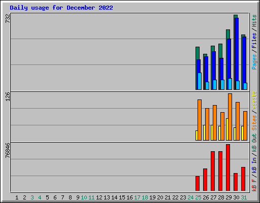 Daily usage for December 2022