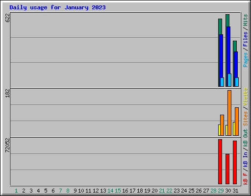 Daily usage for January 2023